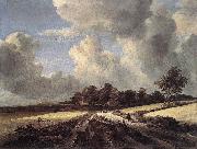 Wheat Fields dh RUISDAEL, Jacob Isaackszon van